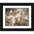thumbnail image 1 of Villa, Mlli 14x12 Black Ornate Wood Framed with Double Matting Museum Art Print Titled - Look Up In The Forest, 1 of 4