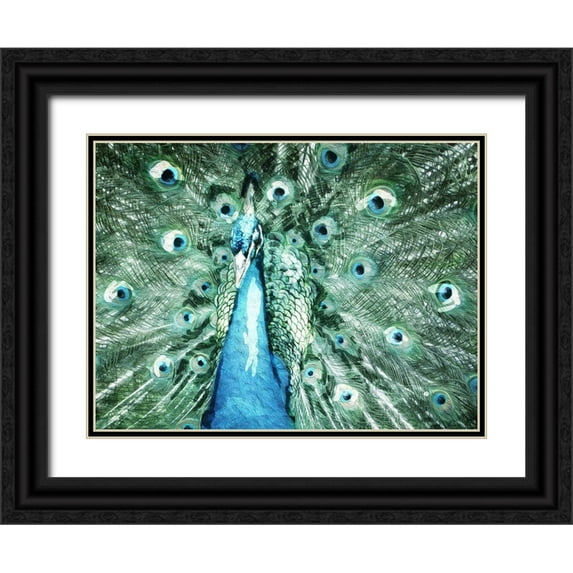 Villa, Mlli 14x12 Black Ornate Wood Framed with Double Matting Museum Art Print Titled - Looking Peacock