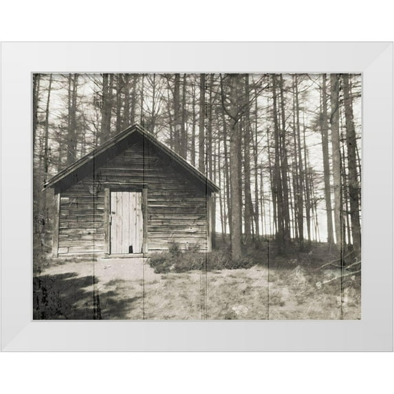 Villa, Mlli 14x12 White Modern Wood Framed Museum Art Print Titled - Cabin In The Woods