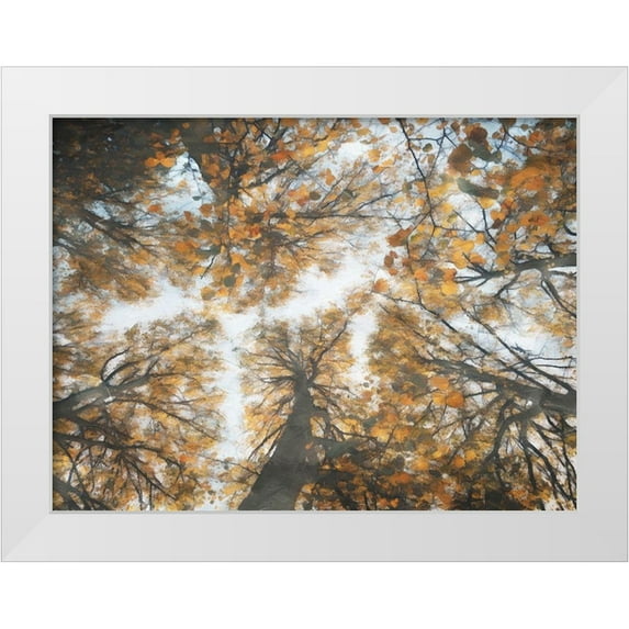 Villa, Mlli 14x12 White Modern Wood Framed Museum Art Print Titled - Look Up In The Forest