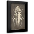 thumbnail image 1 of Villa, Mlli 14x24 Black Modern Framed Museum Art Print Titled - Bug Life Three, 1 of 5