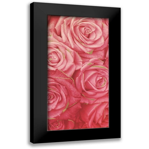 Villa, Mlli 14x24 Black Modern Framed Museum Art Print Titled - Pink Gold Roses Mate