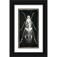 thumbnail image 1 of Villa, Mlli 14x24 Black Ornate Wood Framed with Double Matting Museum Art Print Titled - Bug Life One Black, 1 of 4