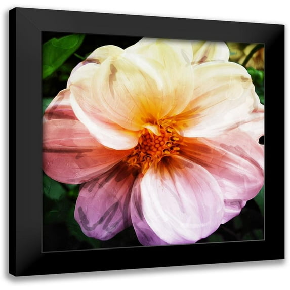 Villa, Mlli 15x15 Black Modern Framed Museum Art Print Titled - Flower Flow