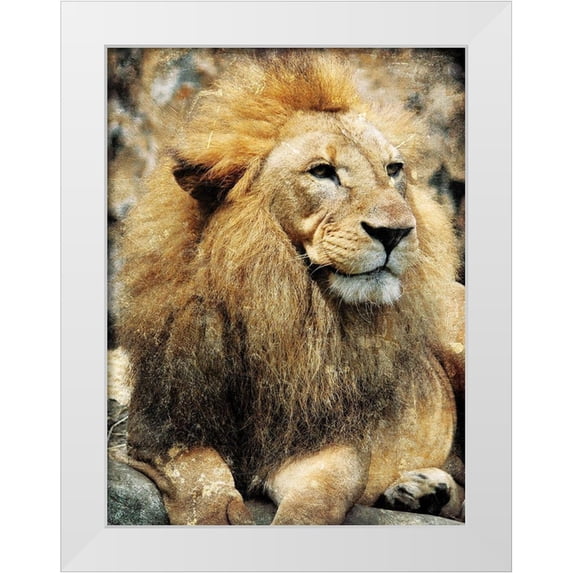 Villa, Mlli 15x18 White Modern Wood Framed Museum Art Print Titled - Lions Look