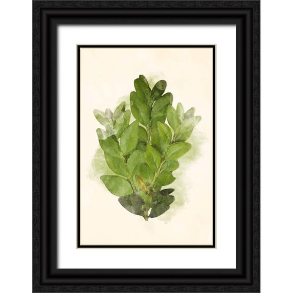 Villa, Mlli 17x24 Black Ornate Wood Framed with Double Matting Museum Art Print Titled - More Green Leaves Mate
