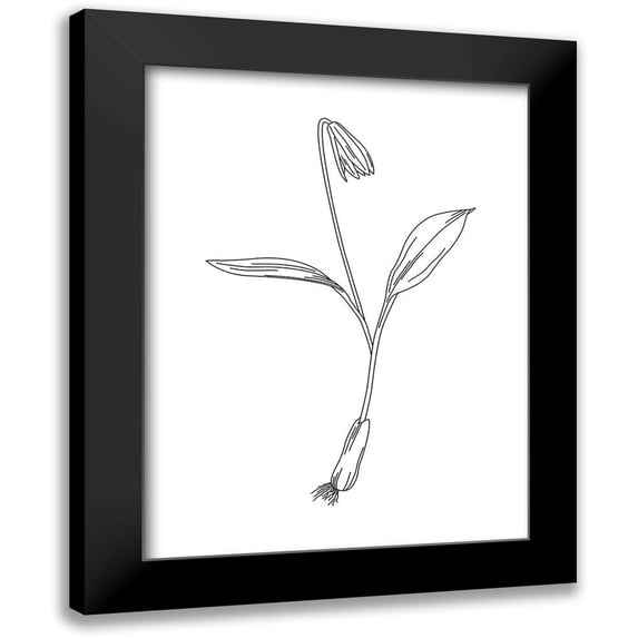 Villa, Mlli 19x24 Black Modern Framed Museum Art Print Titled - Clean Flowers Mate