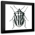 thumbnail image 1 of Villa, Mlli 20x20 Black Modern Framed Museum Art Print Titled - Bug Life Three, 1 of 5