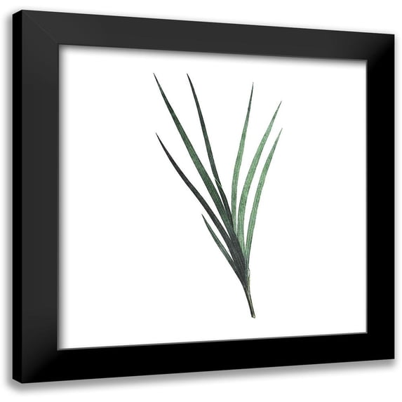Villa, Mlli 20x20 Black Modern Framed Museum Art Print Titled - Green Leaves