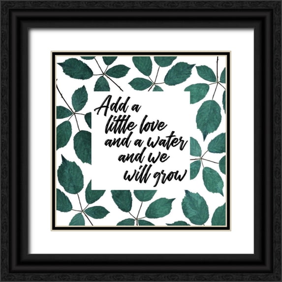 Villa, Mlli 20x20 Black Ornate Wood Framed with Double Matting Museum Art Print Titled - Add Love And Water