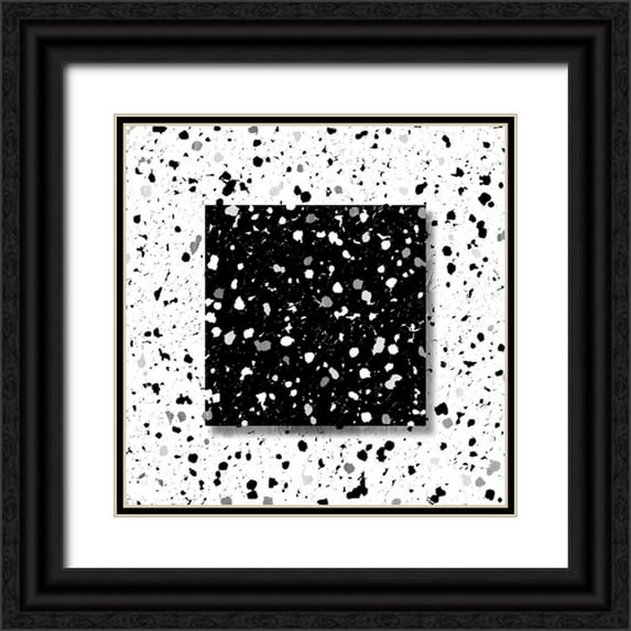 Villa, Mlli 20x20 Black Ornate Wood Framed with Double Matting Museum Art Print Titled - Black White Speckles