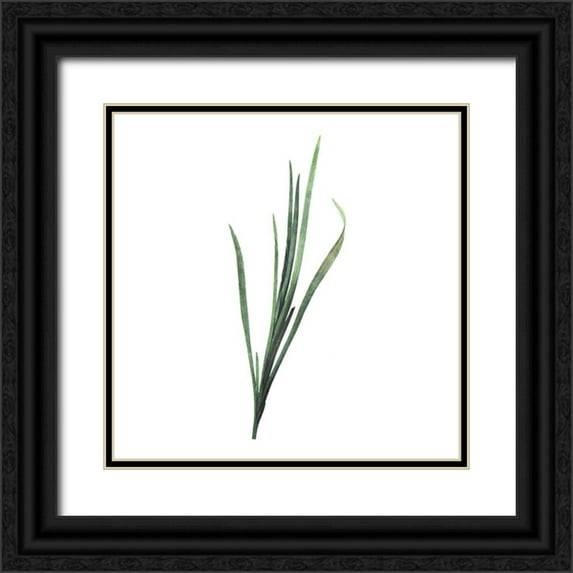 Villa, Mlli 20x20 Black Ornate Wood Framed with Double Matting Museum Art Print Titled - Green Leaves Two