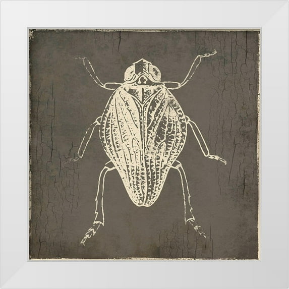 Villa, Mlli 20x20 White Modern Wood Framed Museum Art Print Titled - Bug Life One