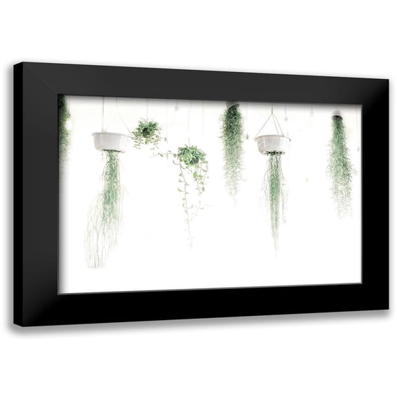 Villa, Mlli 24x17 Black Modern Framed Museum Art Print Titled - High Plants