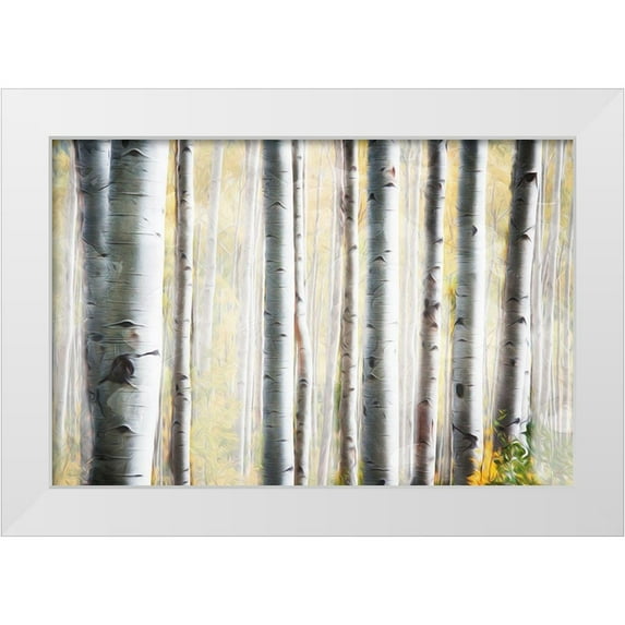Villa, Mlli 24x17 White Modern Wood Framed Museum Art Print Titled - Birch Family