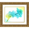 thumbnail image 1 of Villa, Mlli 24x20 Gold Ornate Wood Framed with Double Matting Museum Art Print Titled - Electric Orchids 2, 1 of 4