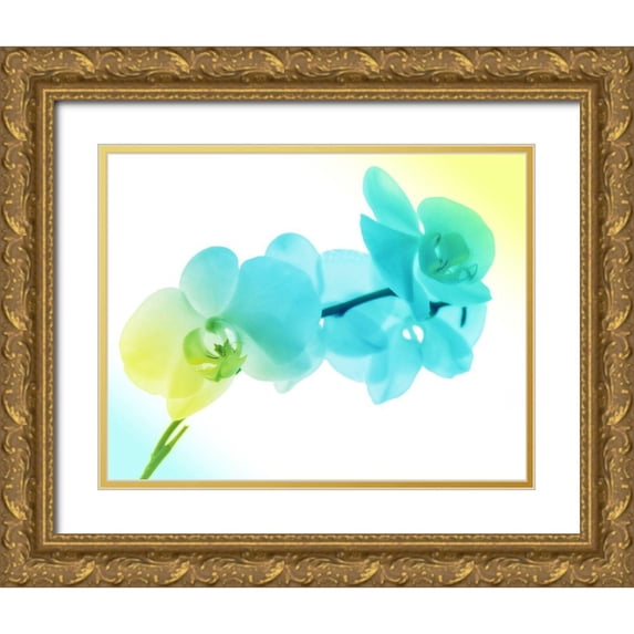 Villa, Mlli 24x20 Gold Ornate Wood Framed with Double Matting Museum Art Print Titled - Electric Orchids 2
