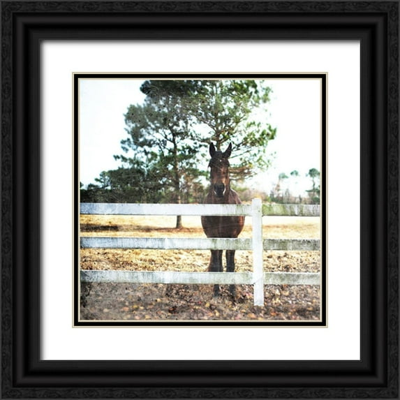 Villa, Mlli 26x26 Black Ornate Wood Framed with Double Matting Museum Art Print Titled - Horse Look