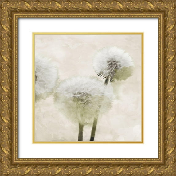 Villa, Mlli 26x26 Gold Ornate Wood Framed with Double Matting Museum Art Print Titled - Make Another Wish Cream