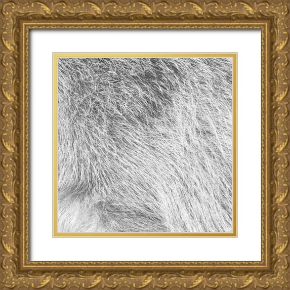 Villa, Mlli 26x26 Gold Ornate Wood Framed with Double Matting Museum Art Print Titled - Silver Fur