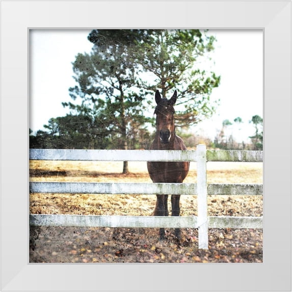 Villa, Mlli 26x26 White Modern Wood Framed Museum Art Print Titled - Horse Look
