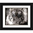 thumbnail image 1 of Villa, Mlli 32x25 Black Ornate Wood Framed with Double Matting Museum Art Print Titled - Tiger Look, 1 of 4