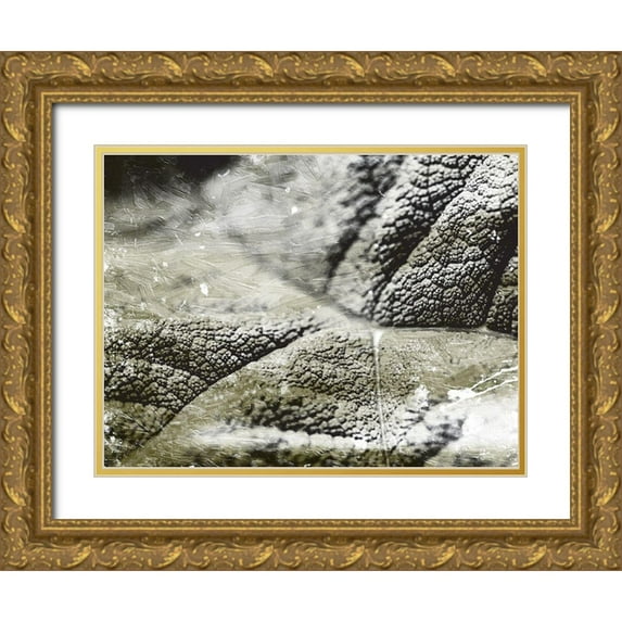 Villa, Mlli 32x25 Gold Ornate Wood Framed with Double Matting Museum Art Print Titled - Charcoal Leaves