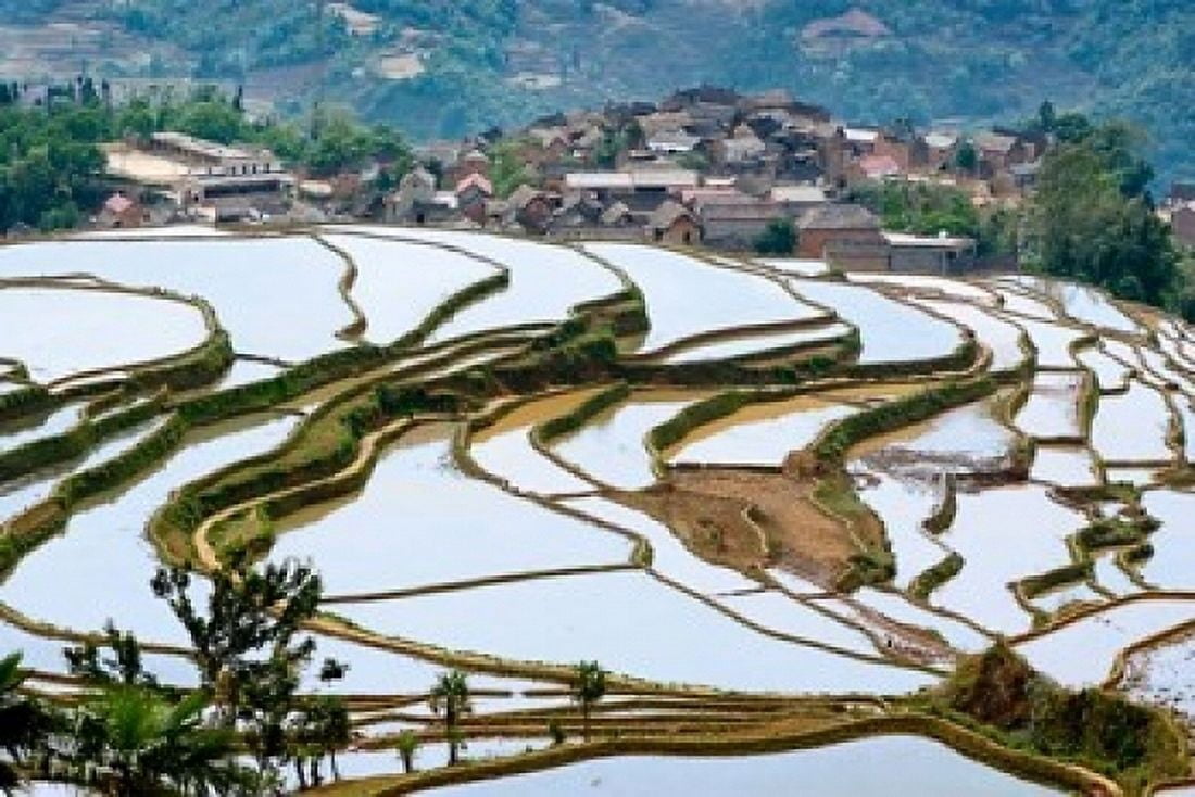 Village Beside Flooded Jiayin Terraces Honghe County Yunnan China Canvas Art - Charles Crust DanitaDelimont (24 x 15)