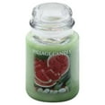 Village Candle Summer Slices Traditions, Large Apothecary Jar