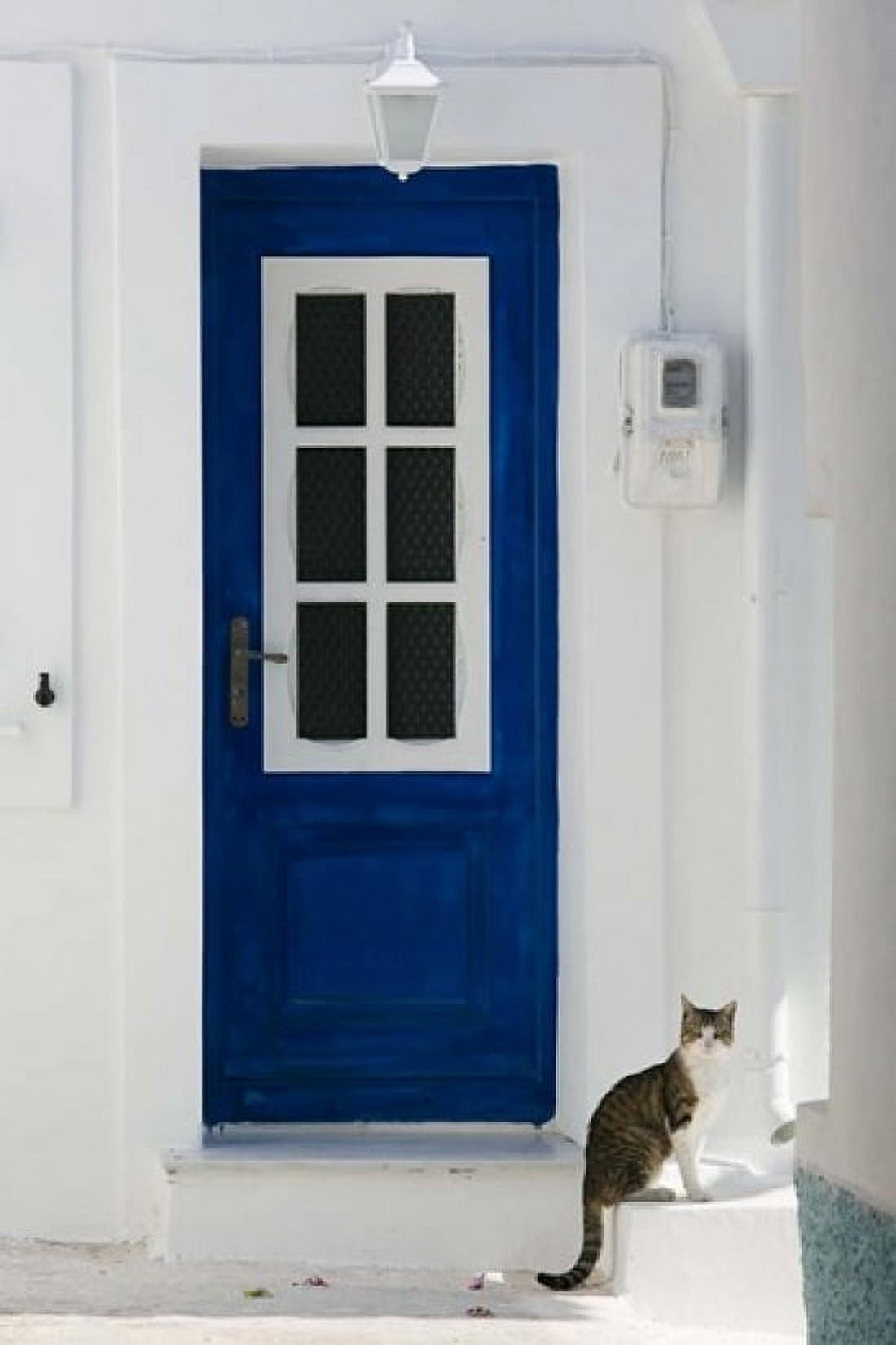 Village Door with Cat Kokkari Samos Aegean Islands Greece Canvas Art - Walter Bibikow DanitaDelimont (24 x 36)
