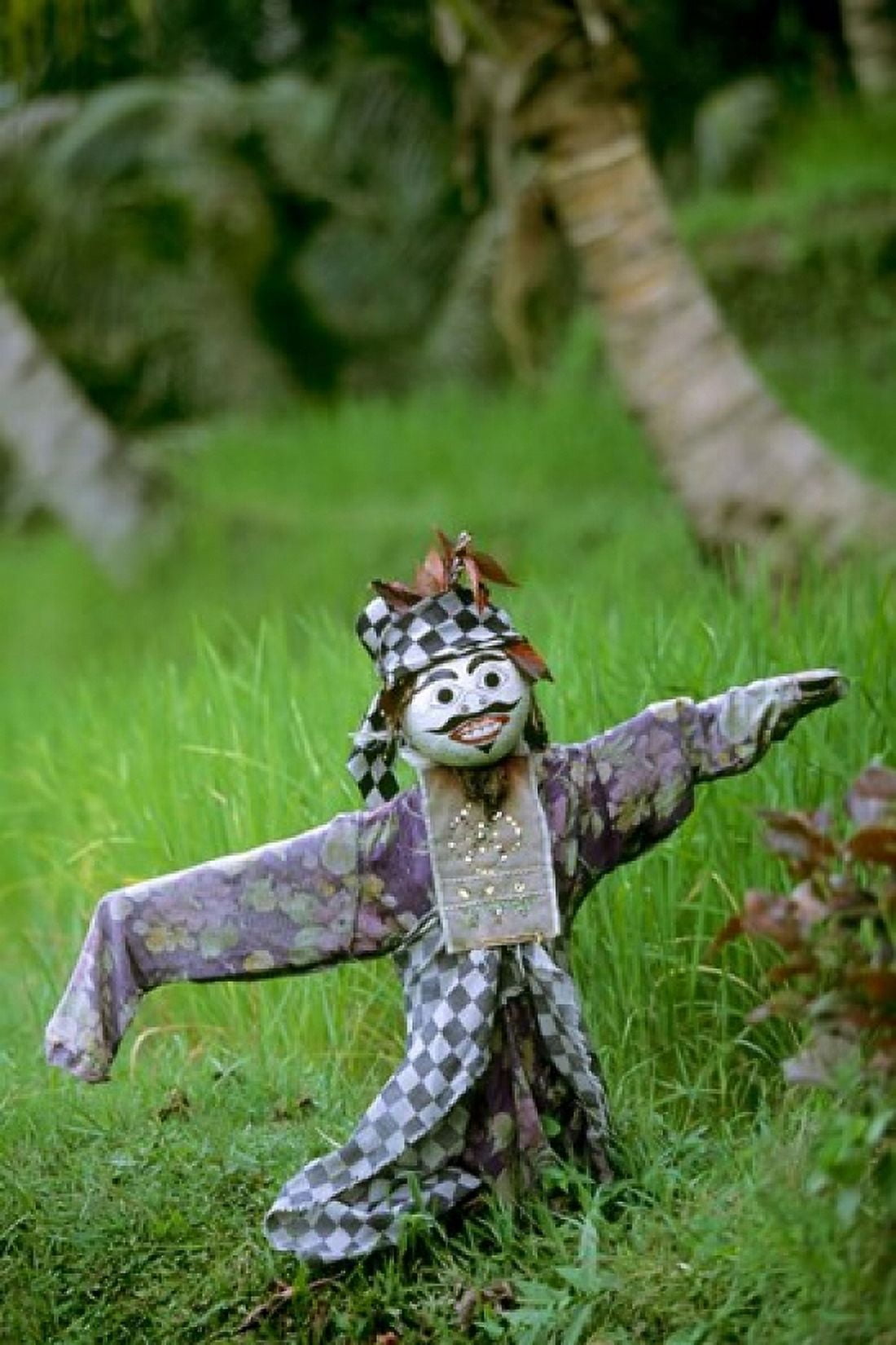 Village Scarecrow Rice Fields near Tegallalan Bali Indonesia Canvas Art - John & Lisa Merrill DanitaDelimont (24 x 35)