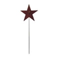 thumbnail image 1 of Star Rusted Garden Stake, 1 of 1