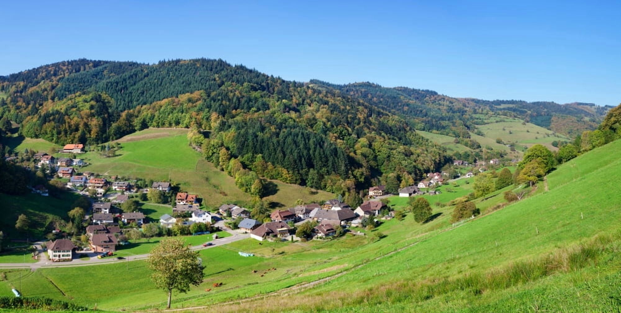 Village in Munstertal Valley Black Forest Baden-Wurttemberg Germany Canvas Art - Panoramic Images (12 x 24)