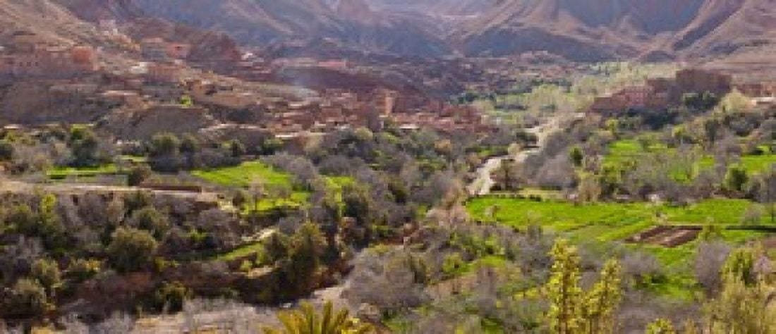 Village in the Dades Valley Dades Gorges Ouarzazate Morocco Canvas Art - Panoramic Images (15 x 6)