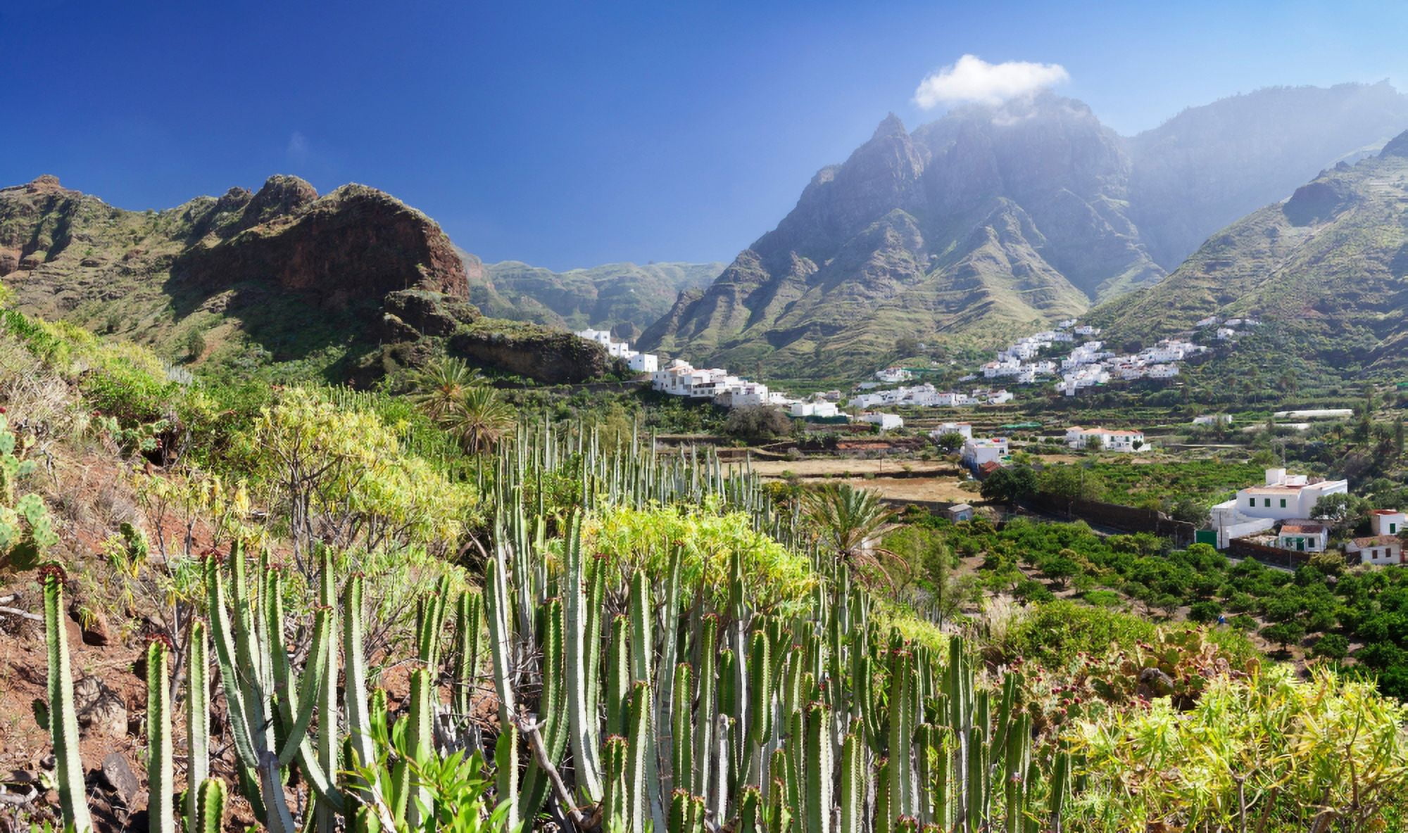 Village in the valley Agaete Gran Canaria Las Palmas Canary Islands Spain Canvas Art - Panoramic Images (27 x 9)