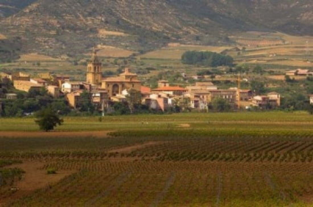 Village of Brinas surrounded by Vineyards La Rioja Region Spain Canvas Art - Janis Miglavs DanitaDelimont (24 x 15)