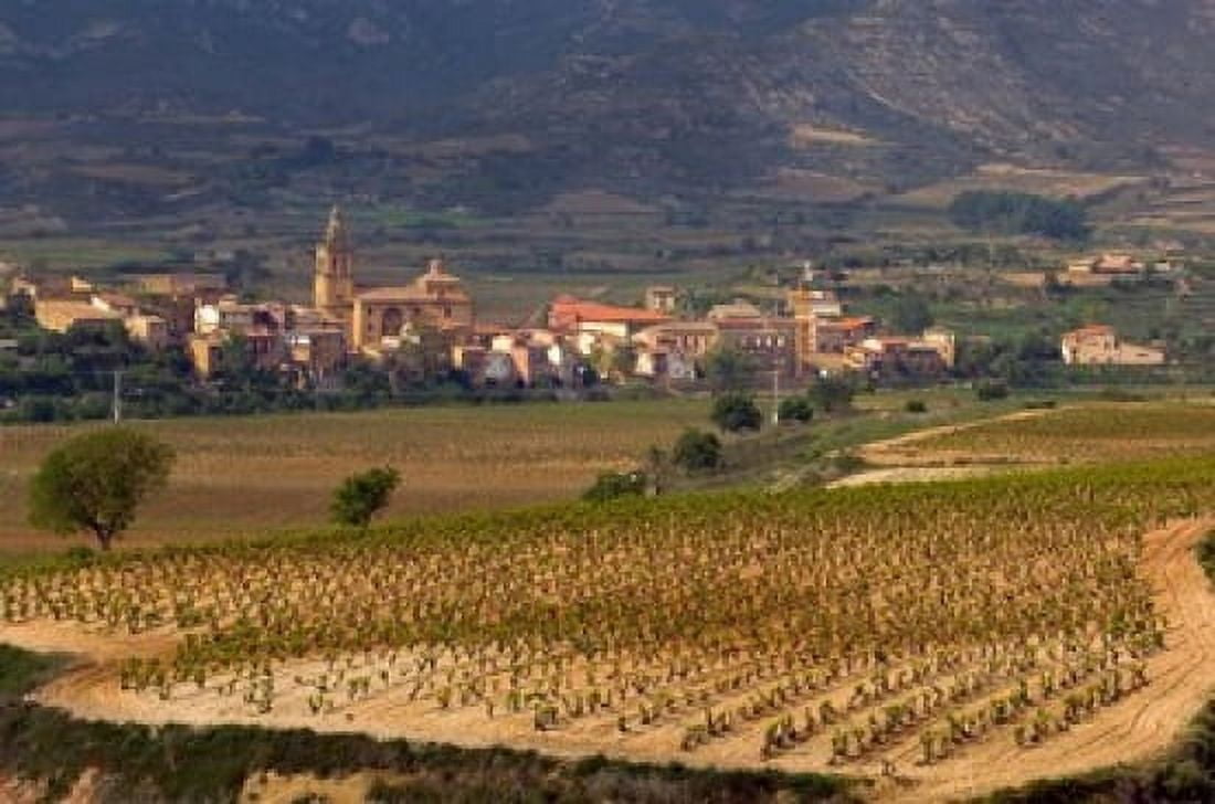 Village of Brinas surrounded by Vineyards La Rioja Region Spain Canvas Art - Janis Miglavs DanitaDelimont (35 x 23)
