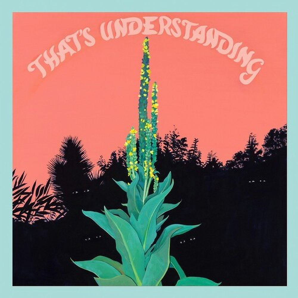 Village of Spaces - That's Understanding - Music & Performance - CD