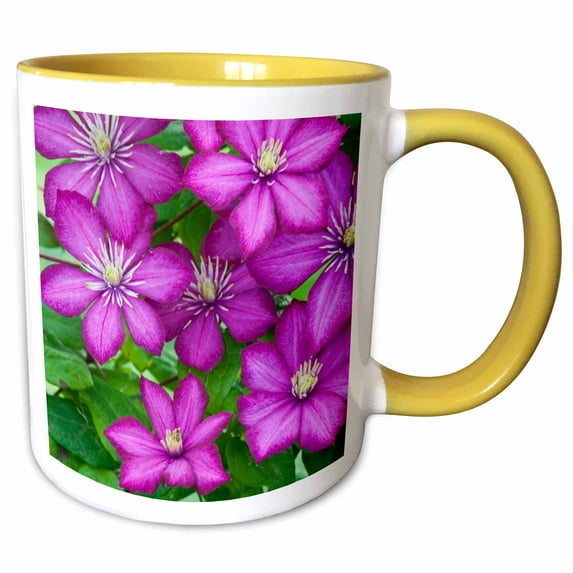 3drose, Ville De Lyon Clematis, Clematis Sp, Marion County, Illinois, 11oz Two-tone Yellow Mug