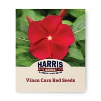 Harris Seeds - Vinca Cora Red F1 Seeds - Large Flowers - 250 Seeds