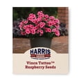thumbnail image 1 of Harris Seeds Tattoo Raspberry Vinca Annual Periwinkle, Flower for Full Sun Gardens and Containers, 25 Count, 1 of 7