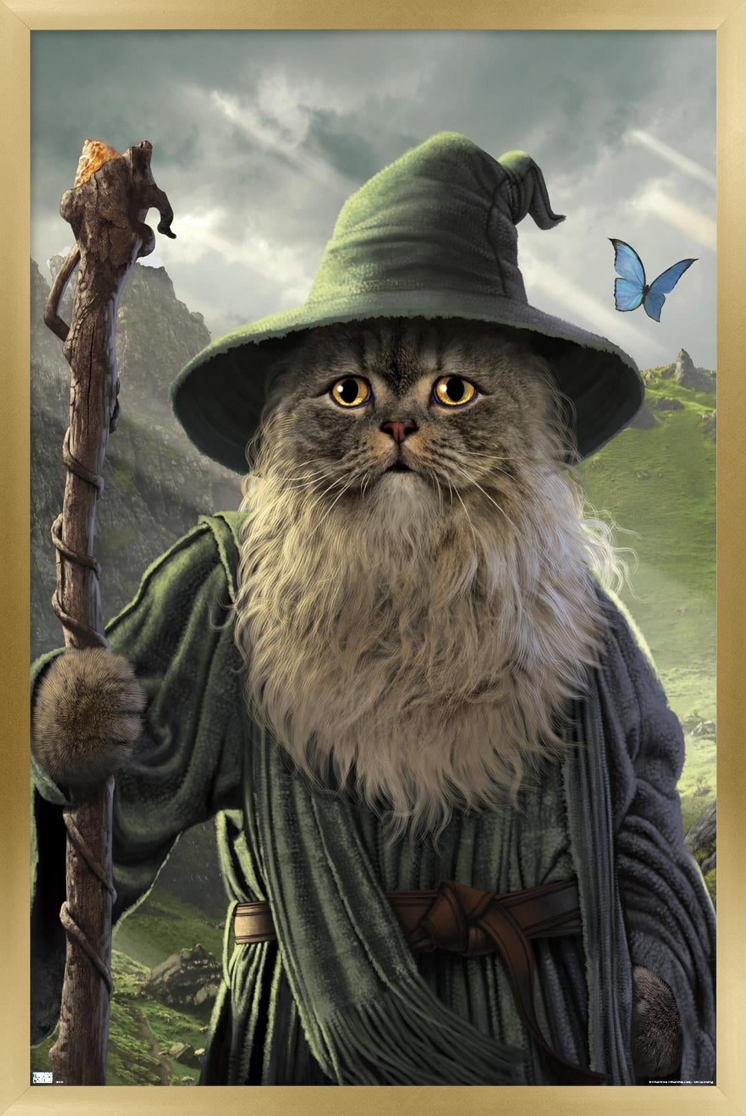Vincent Hie - Catdalf Wall Poster, 14.725" x 22.375", Framed