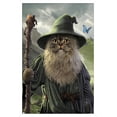 thumbnail image 1 of Vincent Hie - Catdalf Wall Poster, 22.375" x 34", Framed, 1 of 3