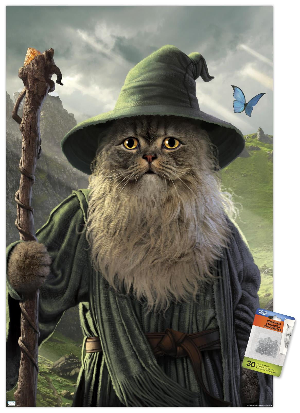 Vincent Hie - Catdalf Wall Poster with Pushpins, 22.375" x 34"