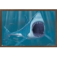 thumbnail image 1 of Vincent Hie - Shark Bite Wall Poster, 14.725" x 22.375", Framed, 1 of 3