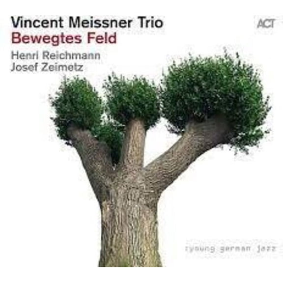 Vincent Trio Meissner - Bewegtes Feld - Music & Performance - CD