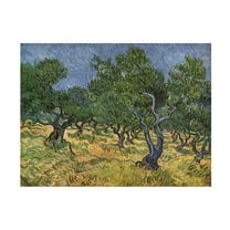 Trademark Fine Art Vincent Van Gogh Olive Orchard Midjune Canvas Wall Art - 18x24