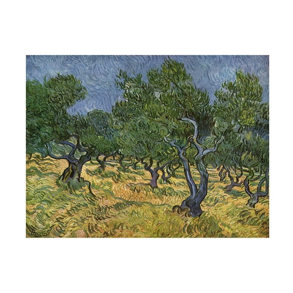 Trademark Fine Art Vincent Van Gogh Olive Orchard Midjune Canvas Wall Art - 18x24