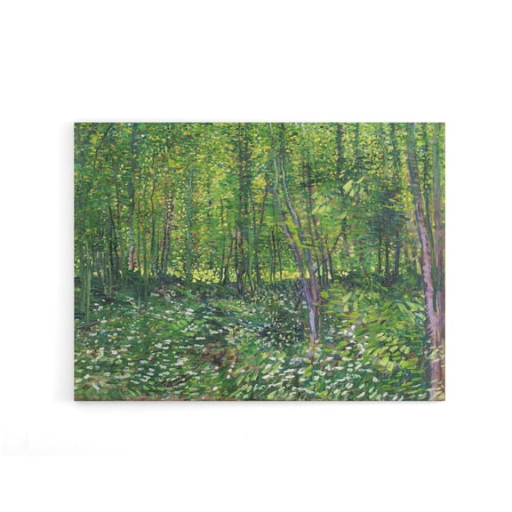 Vincent Van Gogh Trees And Undergrowth Canvas Wall Art Print 24X32"