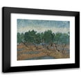 thumbnail image 1 of Vincent van Gogh 14x12 Black Modern Framed Museum Art Print Titled - Olive Grove, 1 of 5